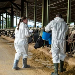 Coordination with Colleagues